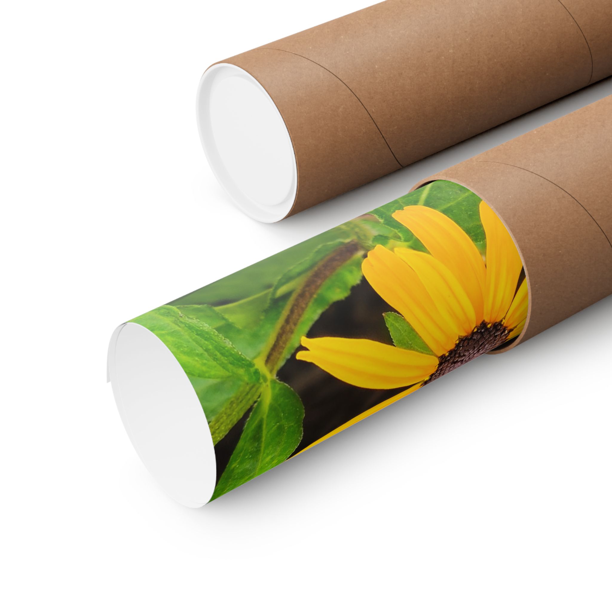 Yellow Black-Eyed Susan Floral Poster — Matte Vertical Wall Art - Image 7