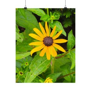 Yellow Black-Eyed Susan Floral Poster — Matte Vertical Wall Art