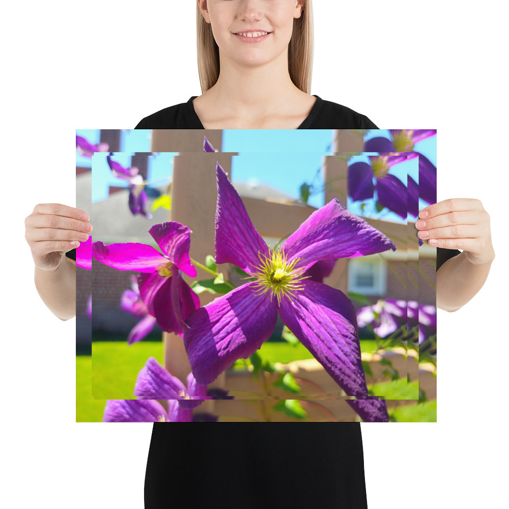 CLEMATIS VINE PURPLE - Image 2