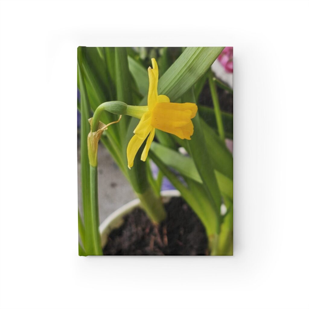 Daffodil #1589– HC Journal